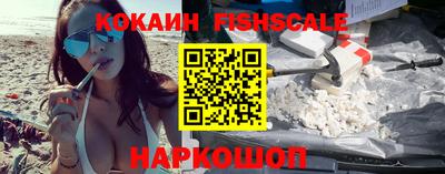гидра Камышлов