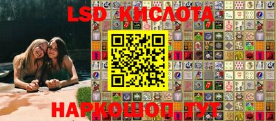 гидра Камышлов