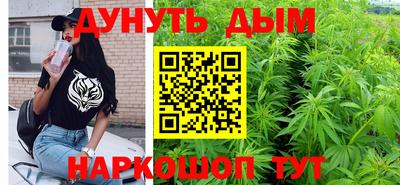 гидра Камышлов