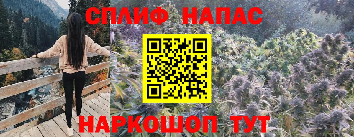 Канабис конопля  Шишки марихуана семена  МАРИХУАНА конопля  Марихуана OG Kush  Лесной  Вход с VPN 